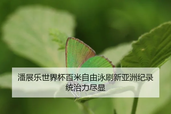 pan-zhan-le-shi-jie-bei-bai-mi-zi-you-yong-shua-xin-ya-zhou-ji-lu-tong-zhi-li-jin-xian-2-851.jpg
